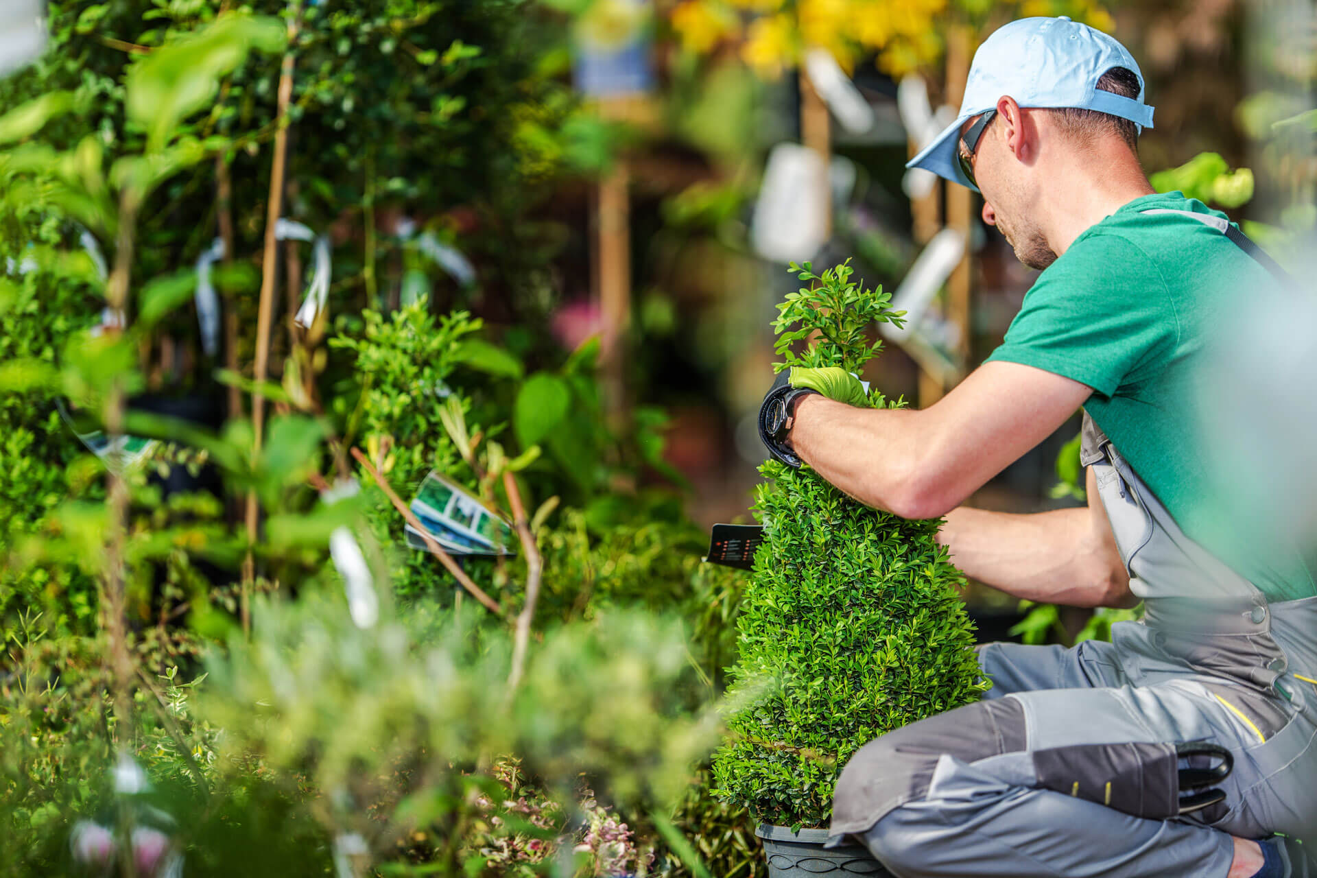 Servicios de jardinería